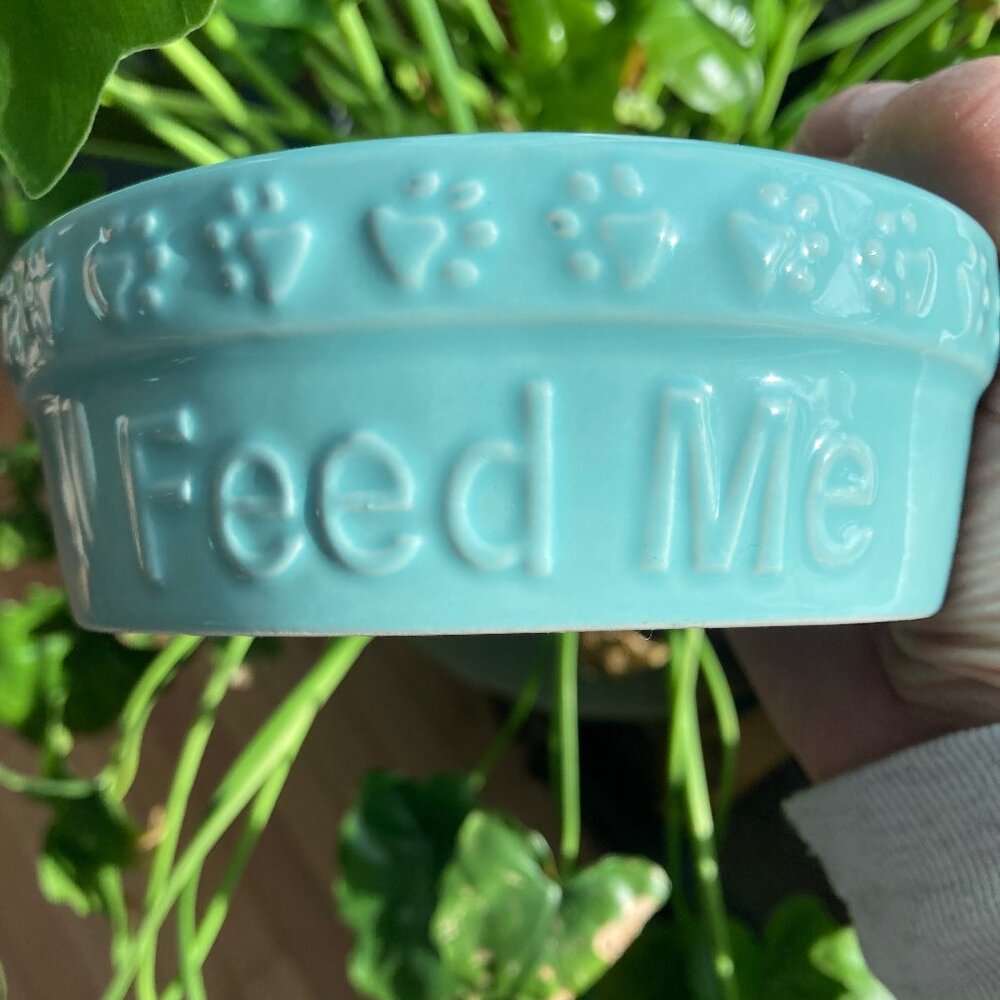 Signature Feed Me Pet Food Water Bowl Excellent Condition